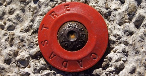 Mise à jour du cadastre 2025